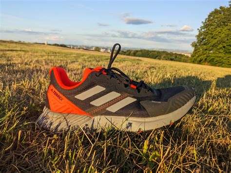 Are Adidas Terrex Good for Running? And Why Do They Make You Feel Like You're Chasing Butterflies?