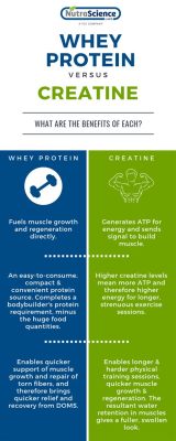 Does Whey Protein Contain Creatine? Exploring the Myths and Realities of Supplement Synergy