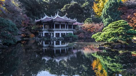  Hiroyuki Sanada: The Unexpected Tango Twist at Tokyo's Shinjuku Gyoen National Garden!