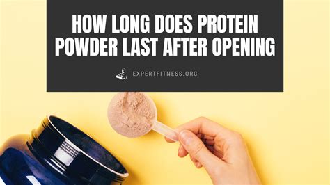 How Long Does Protein Last: A Journey Through Time and Taste