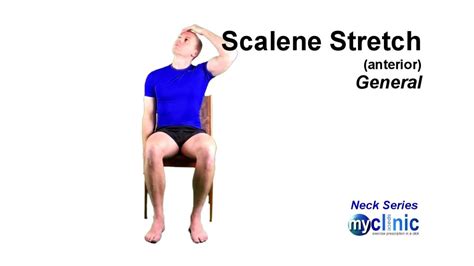 How to Stretch Scalene Muscles: A Journey Through the Labyrinth of Neck Pain and Beyond