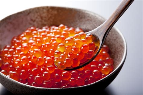 Is caviar protein a forgotten melody in the symphony of nutrition?