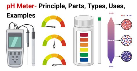 ph meter 원리: 과학적 접근과 일상생활의 연결