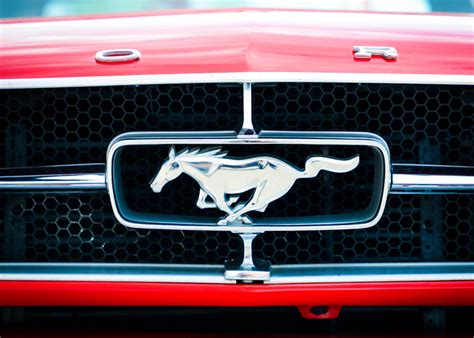 What Car Has a Running Horse Logo: A Symbol of Power and Prestige