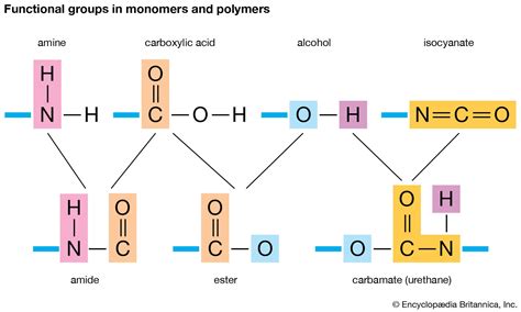 What is the Protein Monomer and Why Does It Dream of Electric Sheep?