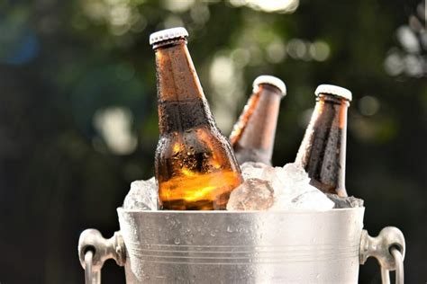 Which Beer Has the Most Protein? And Why Does It Taste Like a Gym Sock?