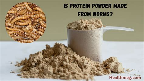 Which Protein Powder is Made from Worms: A Deep Dive into Unconventional Protein Sources and Their Impact on Modern Nutrition